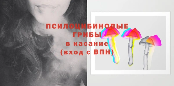 PSILOCYBIN Беломорск