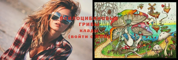 PSILOCYBIN Беломорск