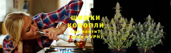 PSILOCYBIN Беломорск